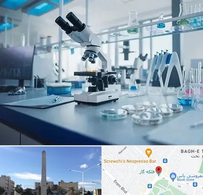 آزمایشگاه تیروئید در فلکه گاز شیراز