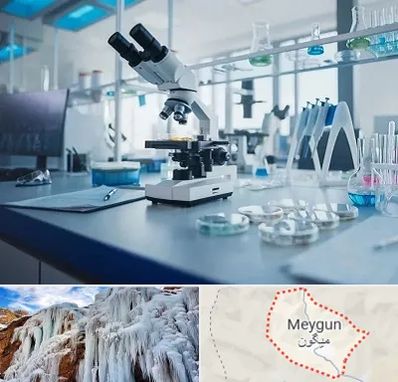 آزمایشگاه تیروئید در میگون