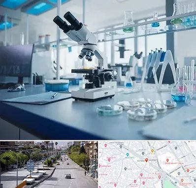 آزمایشگاه تیروئید در خیابان زند شیراز