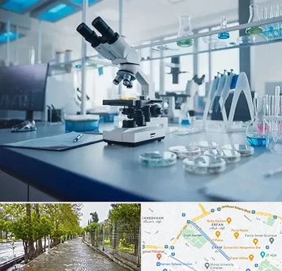 آزمایشگاه تیروئید در خیابان ارم شیراز