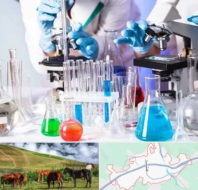 آزمایشگاه تشخیص طبی در تالش