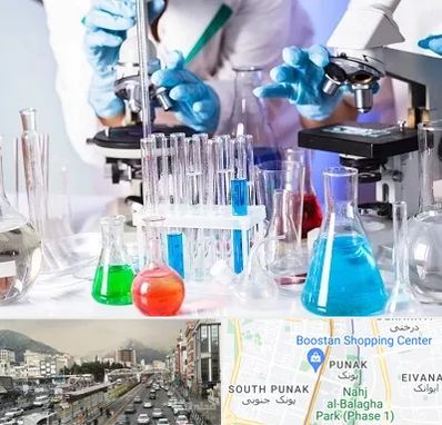 آزمایشگاه تشخیص طبی در پونک