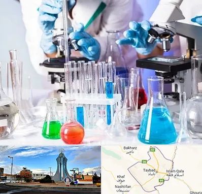 آزمایشگاه تشخیص طبی در تایباد