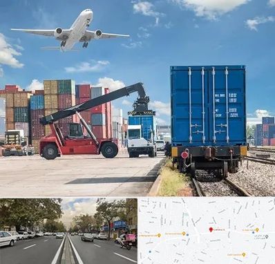 شرکت حمل و نقل بین المللی در دولت