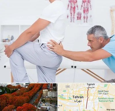 فیزیوتراپی کمردرد در ولیعصر