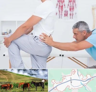 فیزیوتراپی کمردرد در تالش