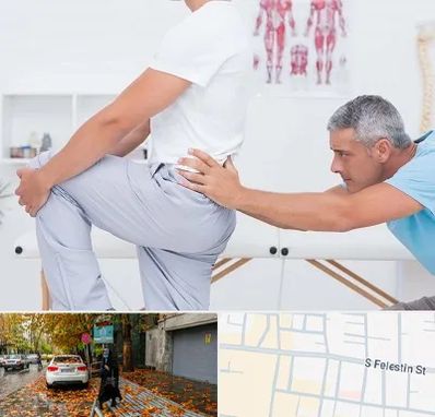 فیزیوتراپی کمردرد در خیابان فلسطین