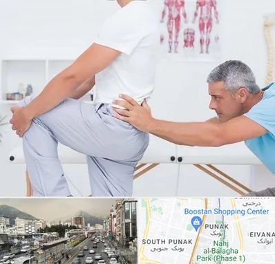 فیزیوتراپی کمردرد در پونک