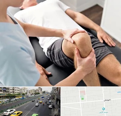 فیزیوتراپی زانو در خیابان دامپزشکی