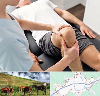 فیزیوتراپی زانو در تالش