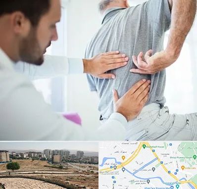 فیزیوتراپی دیسک کمر در کوی وحدت شیراز