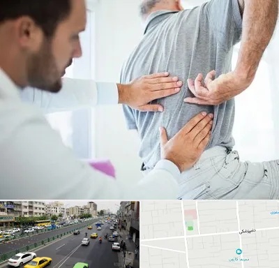 فیزیوتراپی دیسک کمر در خیابان دامپزشکی