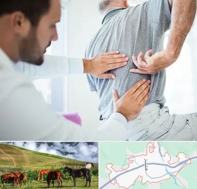 فیزیوتراپی دیسک کمر در تالش