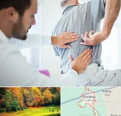 فیزیوتراپی دیسک کمر در کردکوی