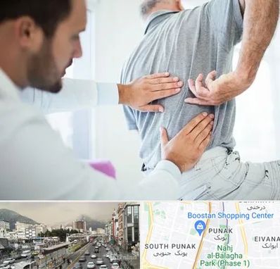 فیزیوتراپی دیسک کمر در پونک