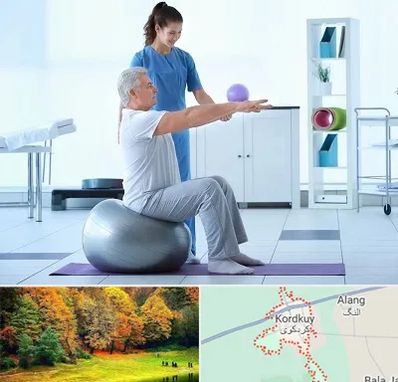 دکتر متخصص فیزیوتراپی در کردکوی