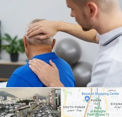 فیزیوتراپی دیسک گردن در پونک