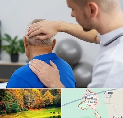فیزیوتراپی دیسک گردن در کردکوی