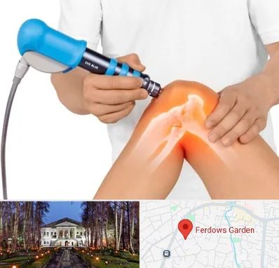 شاک ویو تراپی در باغ فردوس