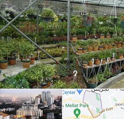 بازار گل و گیاه در الهیه