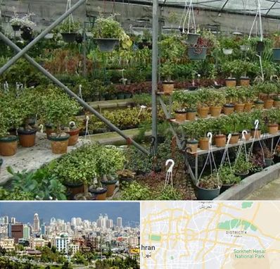 بازار گل و گیاه در شرق تهران
