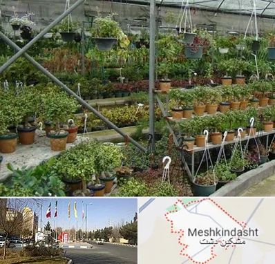 بازار گل و گیاه در مشکین دشت