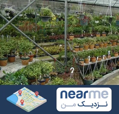 بازار گل و گیاه در نزدیک من