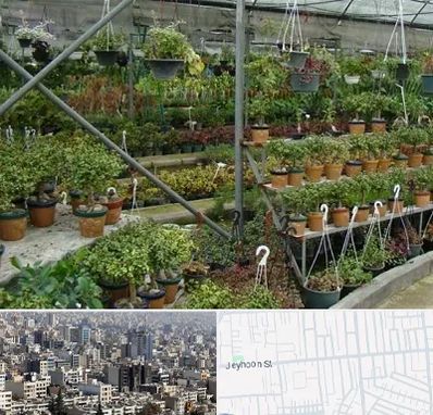 بازار گل و گیاه در جیحون