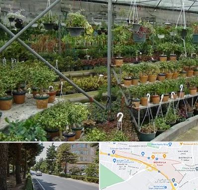 بازار گل و گیاه در مهرویلا کرج