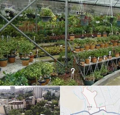 بازار گل و گیاه در اوین