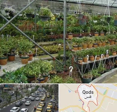 بازار گل و گیاه در شهر قدس