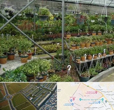 بازار گل و گیاه در الهیه مشهد