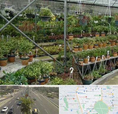 بازار گل و گیاه در منطقه 17 تهران