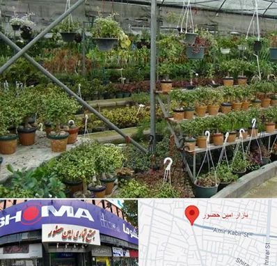 بازار گل و گیاه در امین حضور