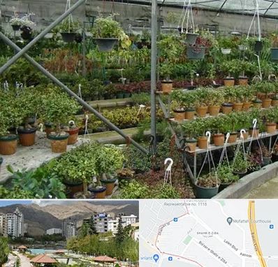 بازار گل و گیاه در شهر زیبا