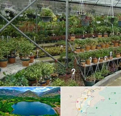 بازار گل و گیاه در رودبار