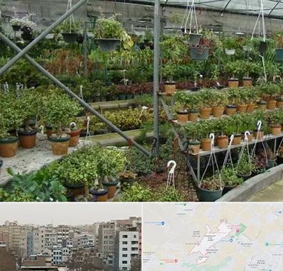 بازار گل و گیاه در محمد شهر کرج