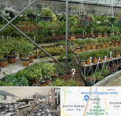 بازار گل و گیاه در پونک