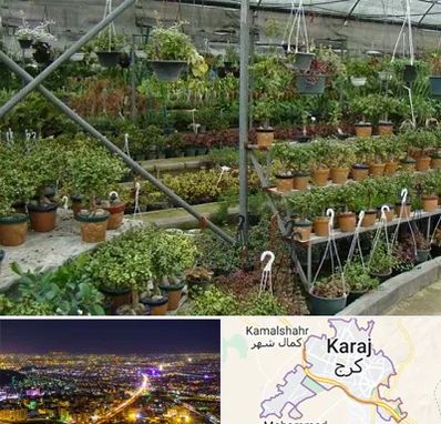 بازار گل و گیاه در کرج