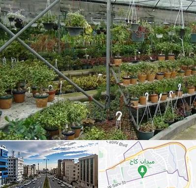 بازار گل و گیاه در سعادت آباد