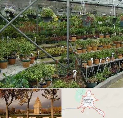 بازار گل و گیاه در تویسرکان