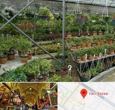 بازار گل و گیاه در بازار وکیل شیراز