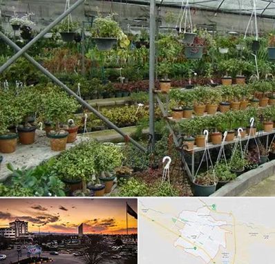 بازار گل و گیاه در قوچان