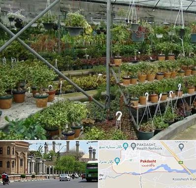 بازار گل و گیاه در پاکدشت