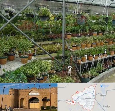 بازار گل و گیاه در ایرانشهر