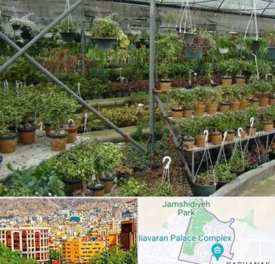 بازار گل و گیاه در نیاوران