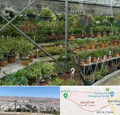 بازار گل و گیاه در شهرک گلستان شیراز