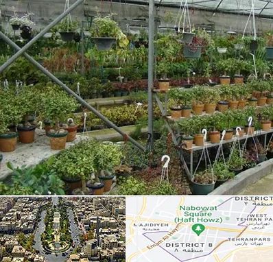 بازار گل و گیاه در نارمک