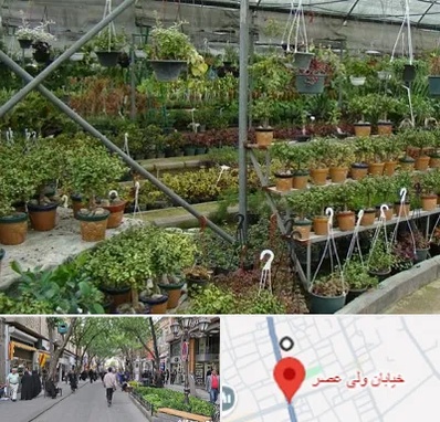 بازار گل و گیاه در ولیعصر شهریار