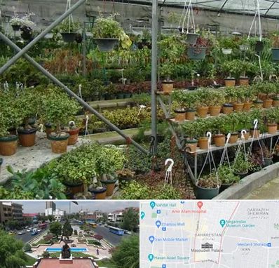 بازار گل و گیاه در بهارستان